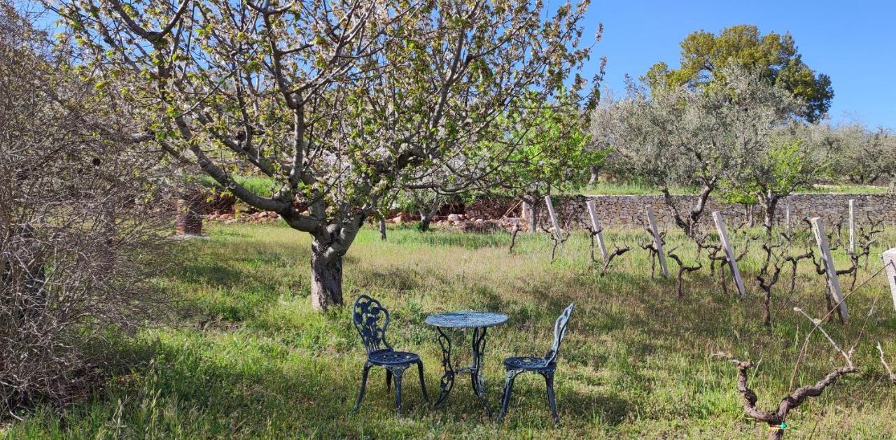 Il Vigneto Sole&Luna Con Piscina Privata Martina Franca Exteriör bild