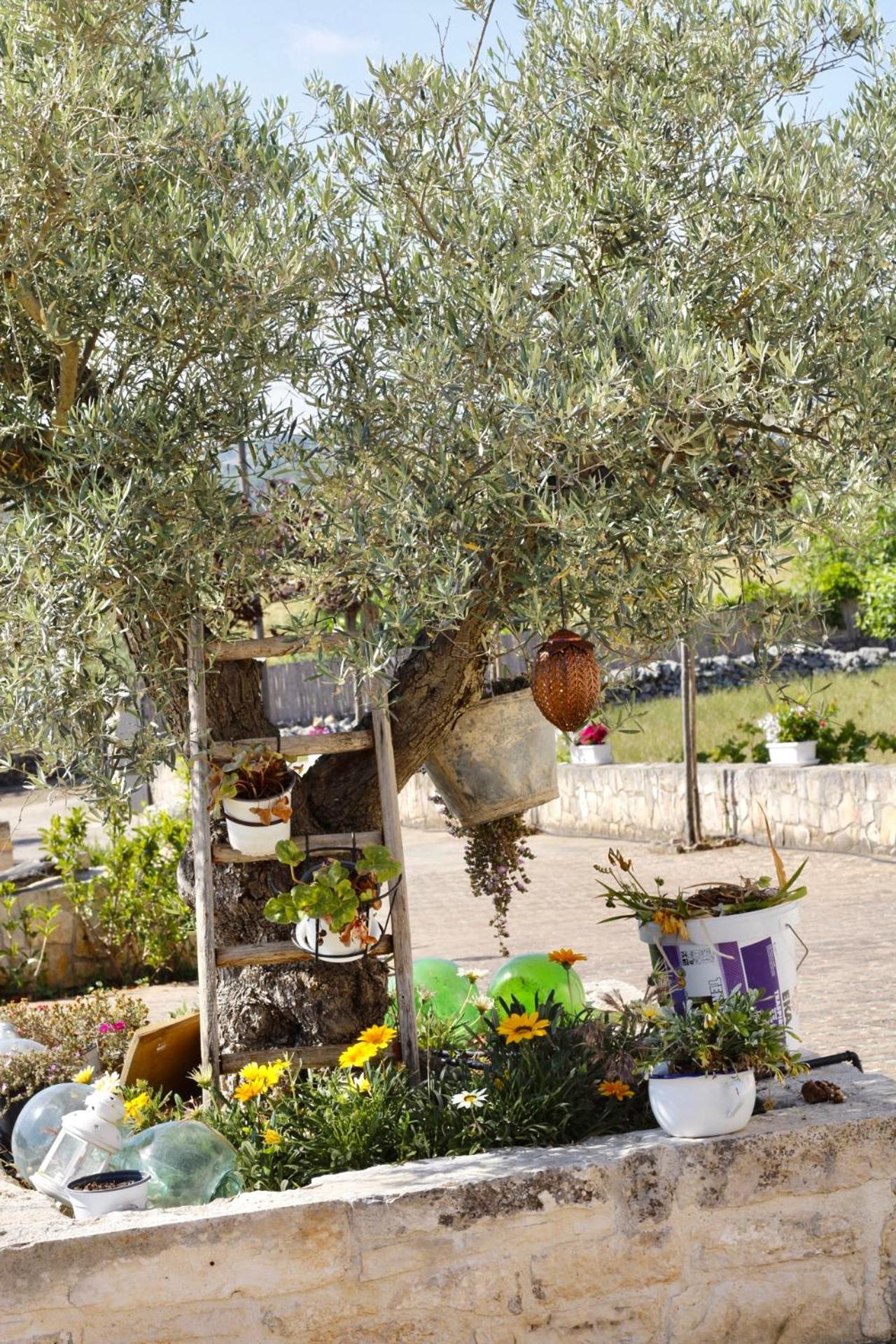 Il Vigneto Sole&Luna Con Piscina Privata Martina Franca Exteriör bild